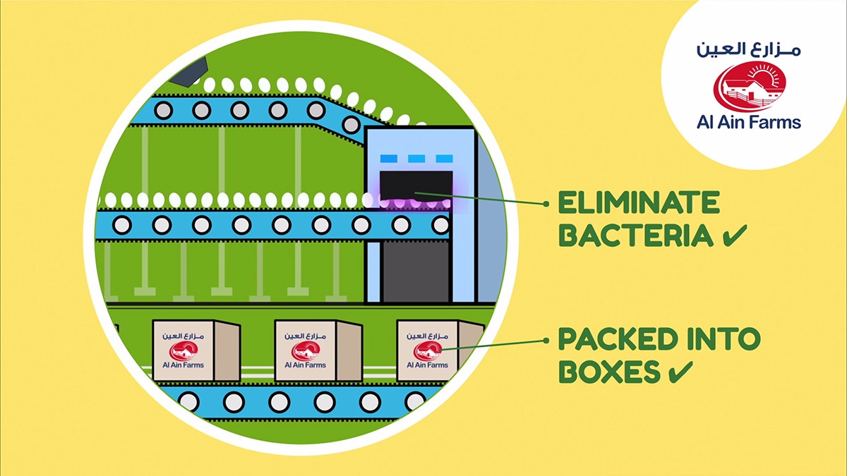 Al Ain Farms Poultry Process image