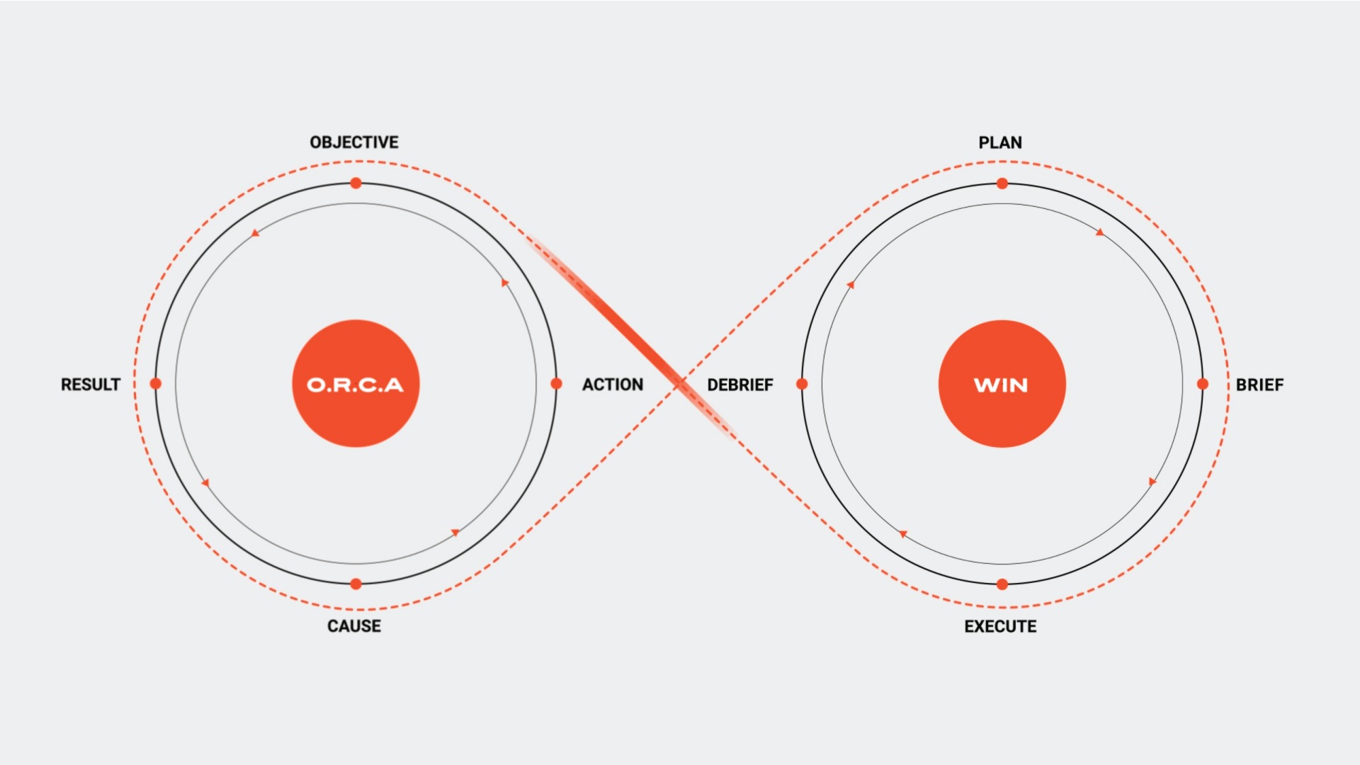 Animated Infinity Diagram